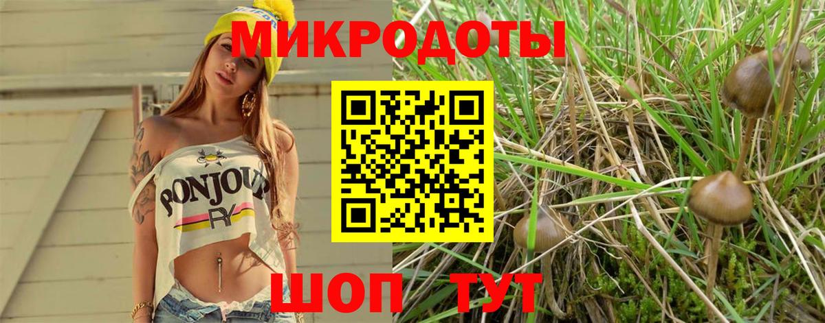 Тимашёвск  Галлюциногенные грибы Magic Shrooms  Вход с VPN 